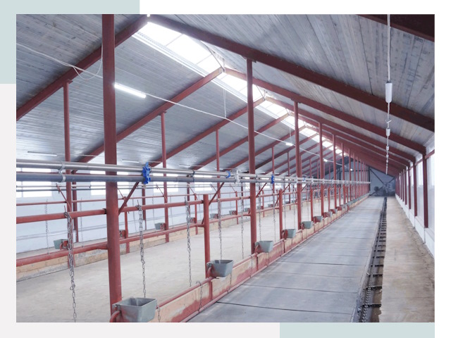 Строительство коровников в Шарыпове от 606 руб.