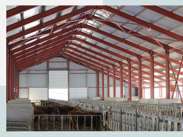 Строительство коровников в Шарыпове