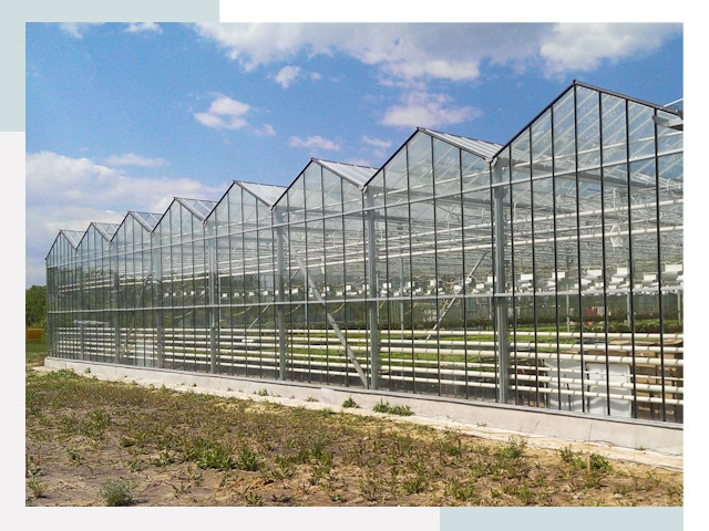 Строительство теплиц в Шарыпово от 606 руб. за м²